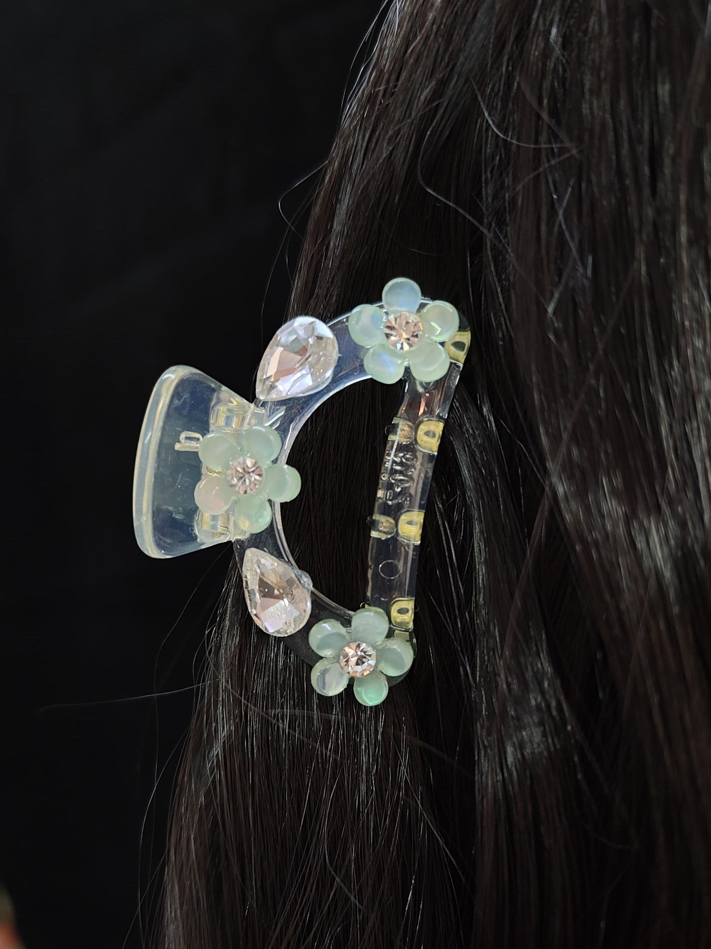 Priya Fancy Hair Clature