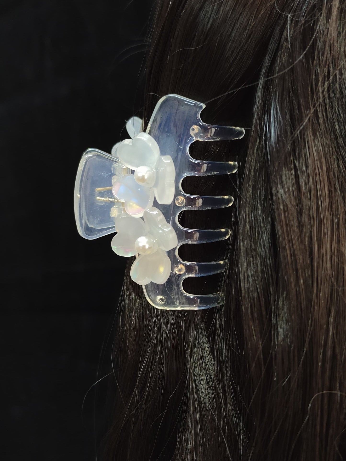 Ishani Fancy Hair Clature