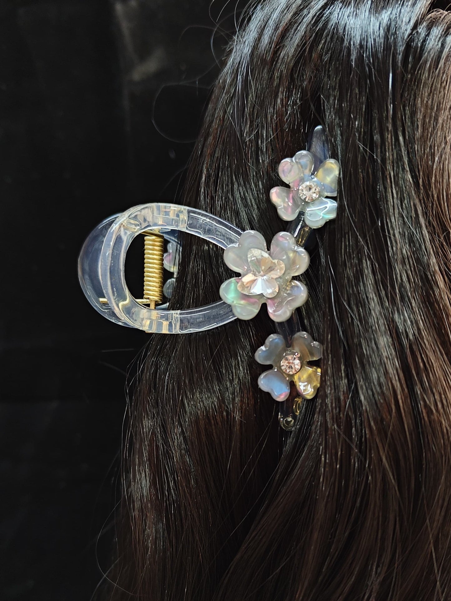 Riya Fancy Hair Clature