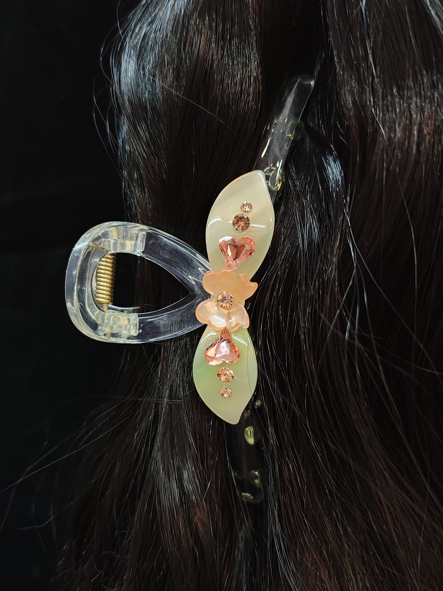 Anika Fancy Hair Clature