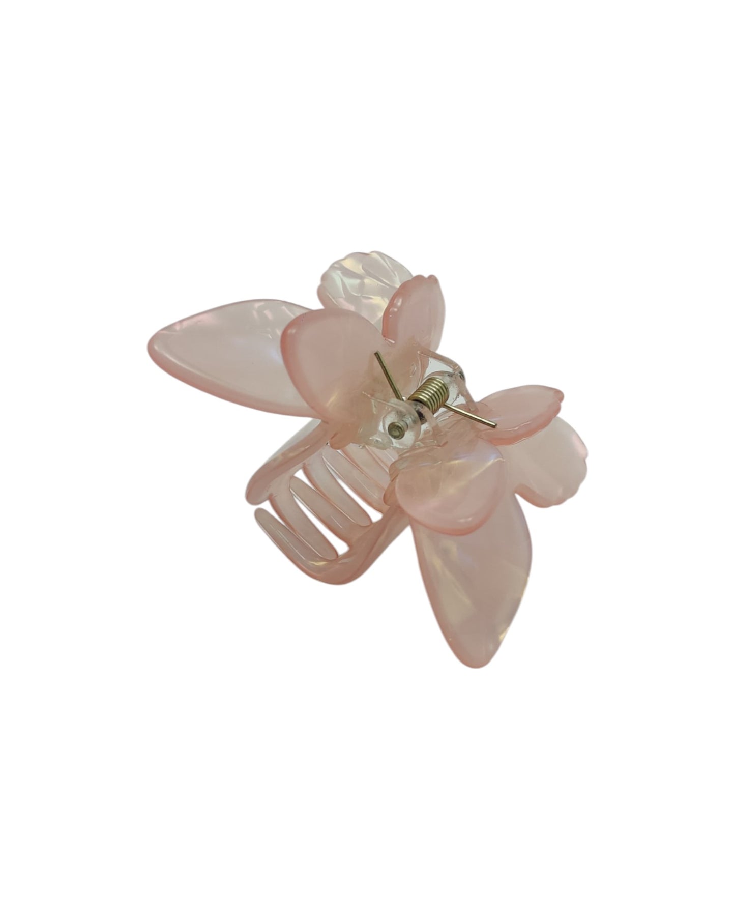 Aanya Fancy Hair Clature