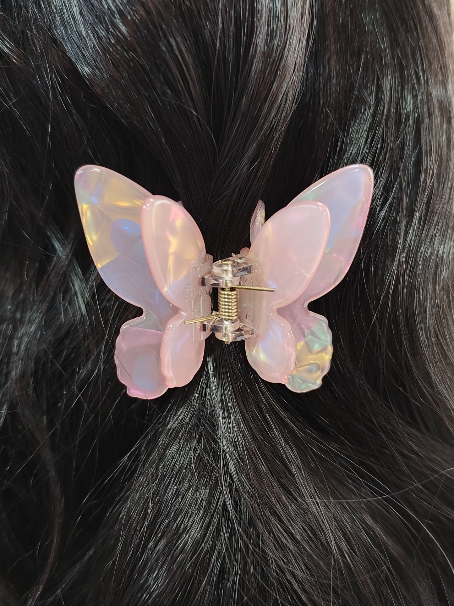 Aanya Fancy Hair Clature