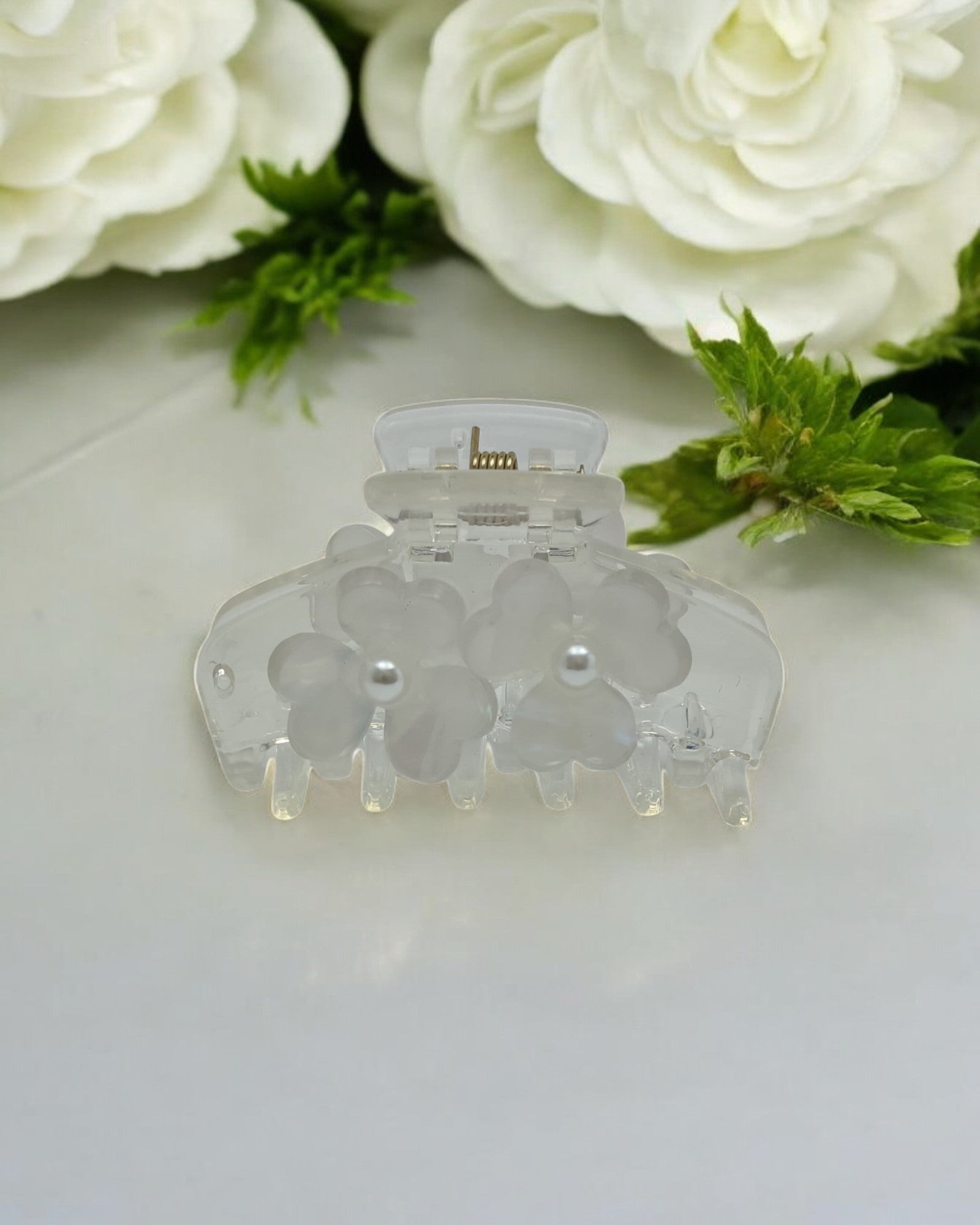 Ishani Fancy Hair Clature