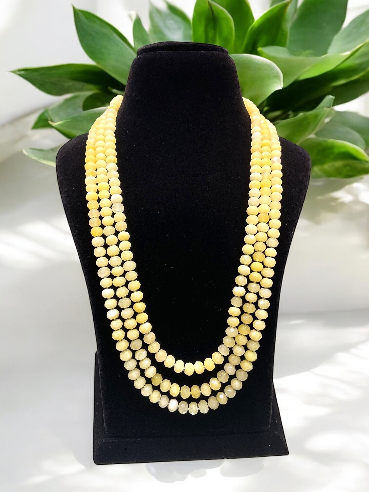 Sanya Semi Pr Mala