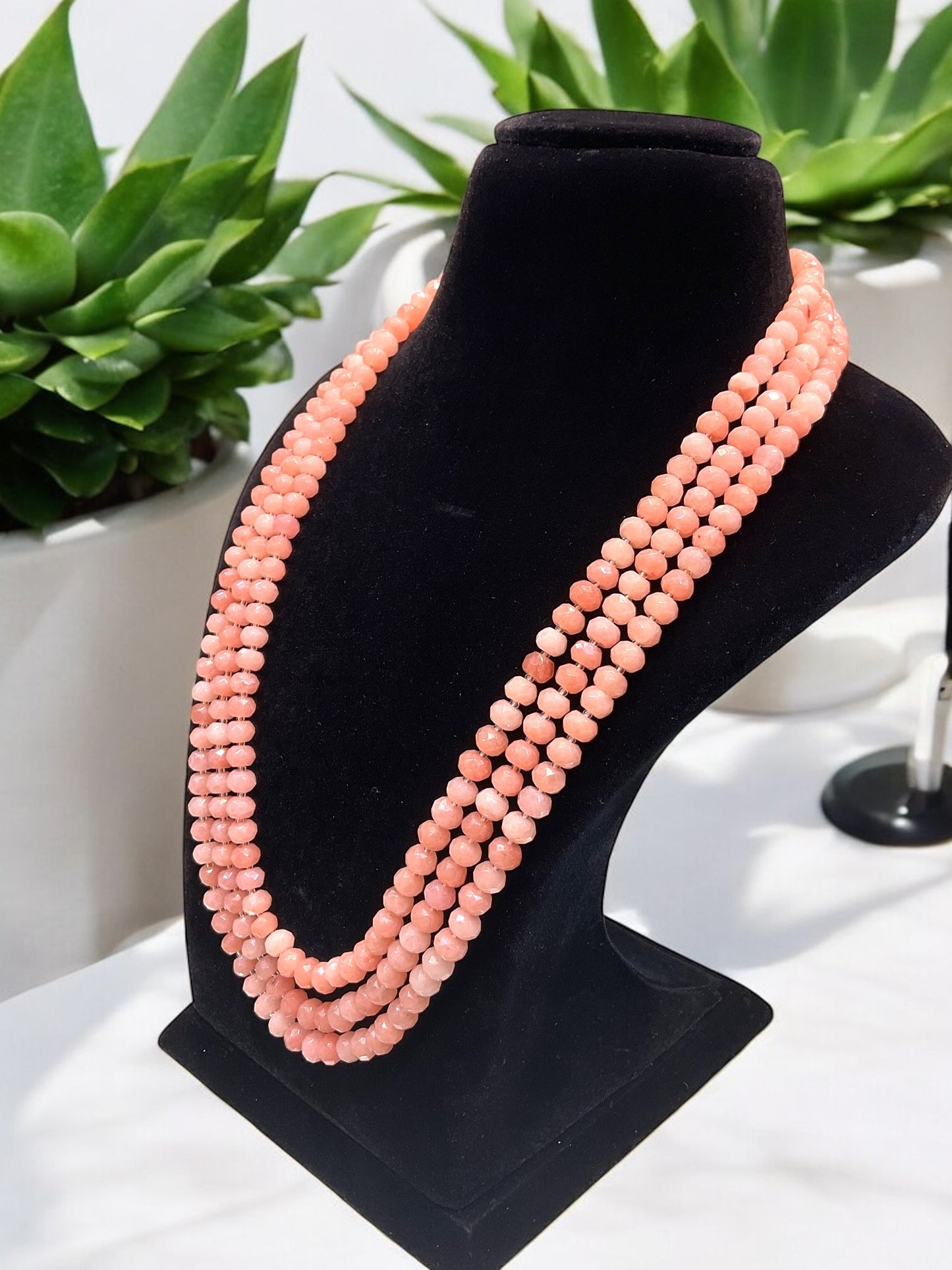Sanya Semi Pr Mala