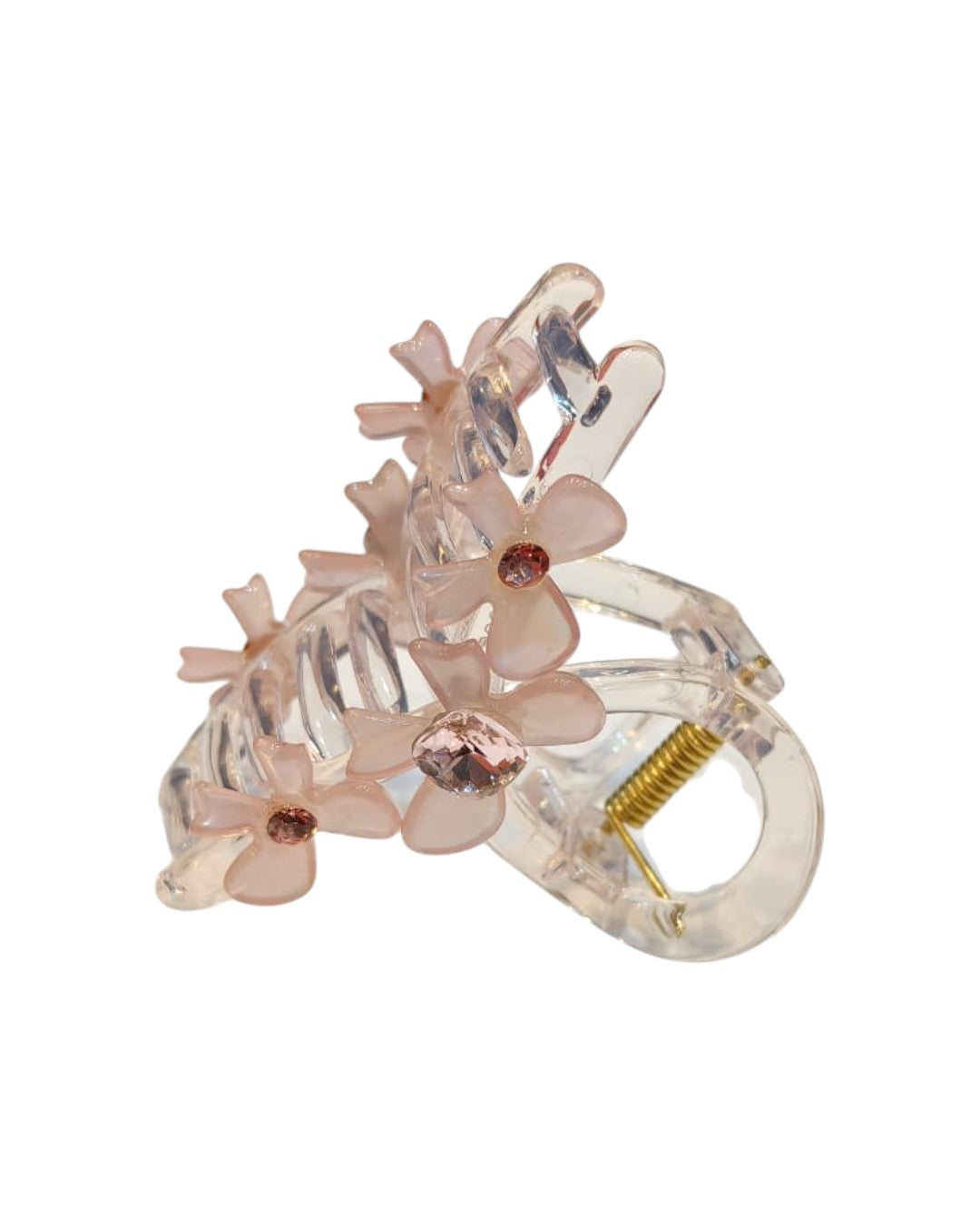 Aditi Fancy Hair Clature